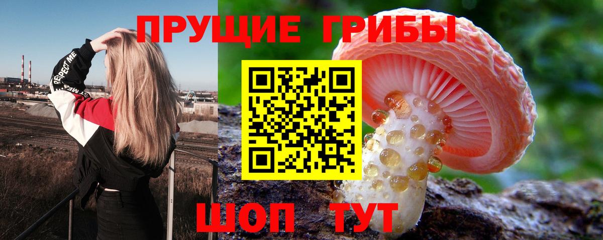 Псилоцибиновые грибы Cubensis Лесосибирск